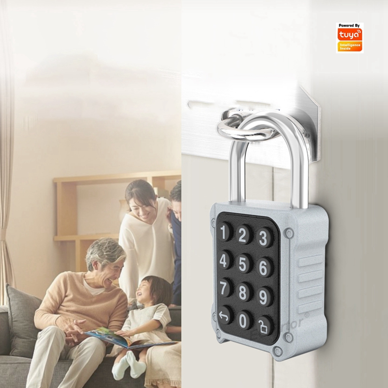 Lockbox Key Secure - EGFirtor Tuya APP Elektronisch slim hangslot