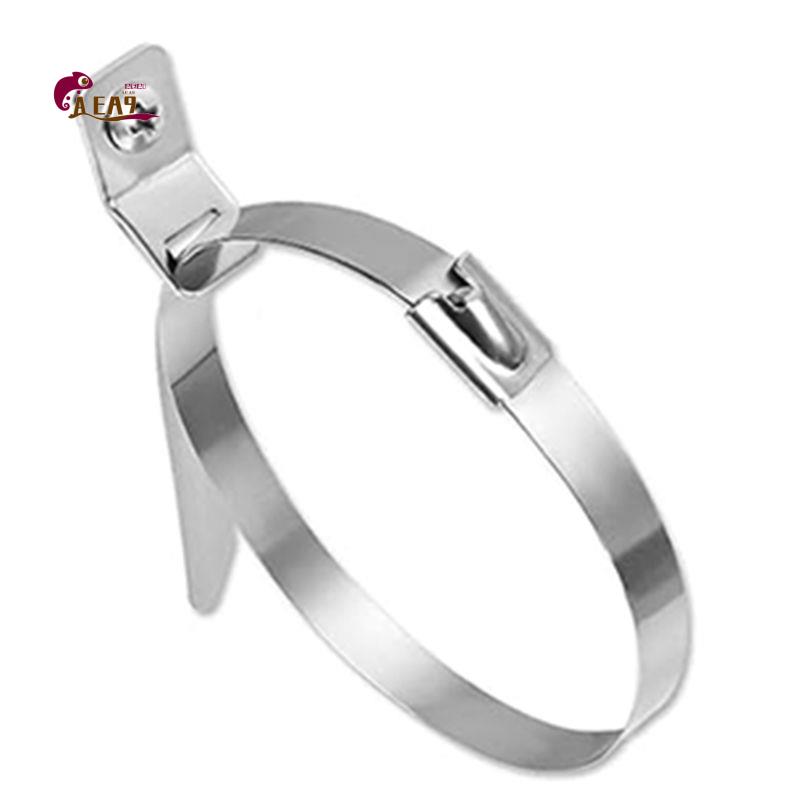 AEA9-10 Stuks Meubelmuurankers - Earthquake Anchor Strap recensie en prijs