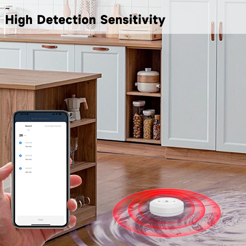 Tuya Zigbee2mqtt Wateronderdom - Water Alarm Sensor recensie en prijs