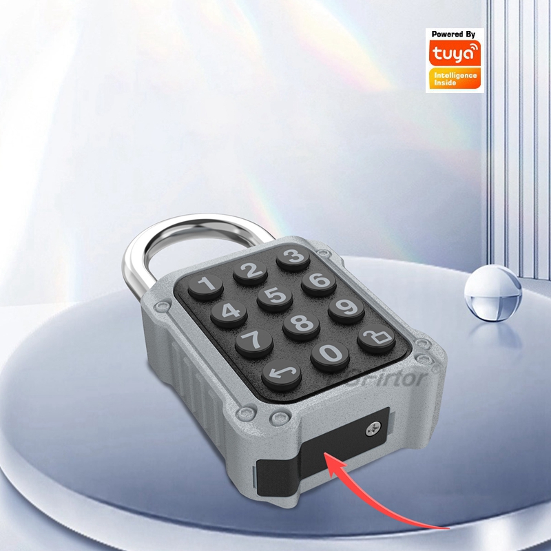 EGFirtor Tuya APP Elektronisch - Lockbox Key Secure recensie en prijs