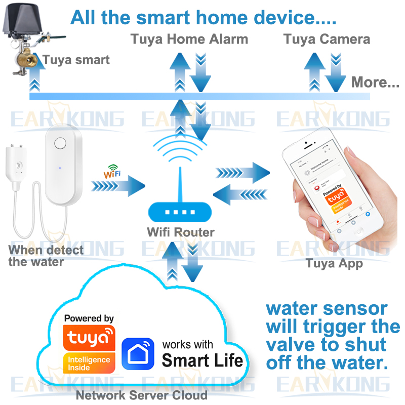 Tuya WiFi Smart Waterleksensor - Water Alarm Sensor recensie en prijs